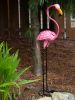 Tropical Tango Flamingo Statue