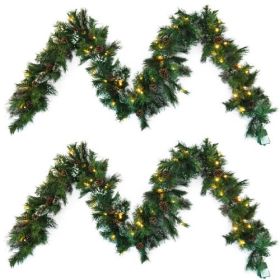 Christmas Wreath With 20 Pine Cones And 50 Warm White LED Lights With Timer - Battery Powered - Outdoor, 160 Pointed Heads