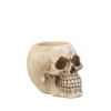 Skull Pen Holder