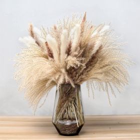 Phragmites Dried Flowers Bouquet Long Bouquet Reed Dried Natural Dried Pampa Grass Bouquet Home Wedding Living Room Decoration (Ships From: China, Color: 62pcs  No vase)